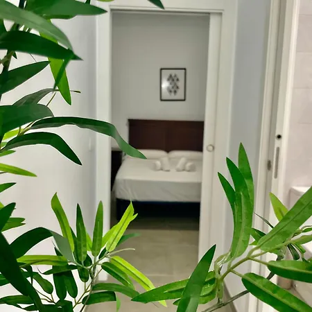 Apartman Almogavares